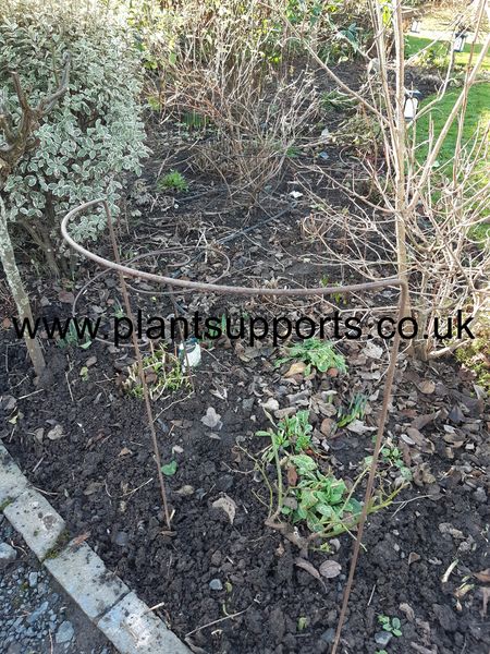 Arc pack of 4 55cm x 115cm A0021 Arc pack of 4 55cm x 115cm A0021